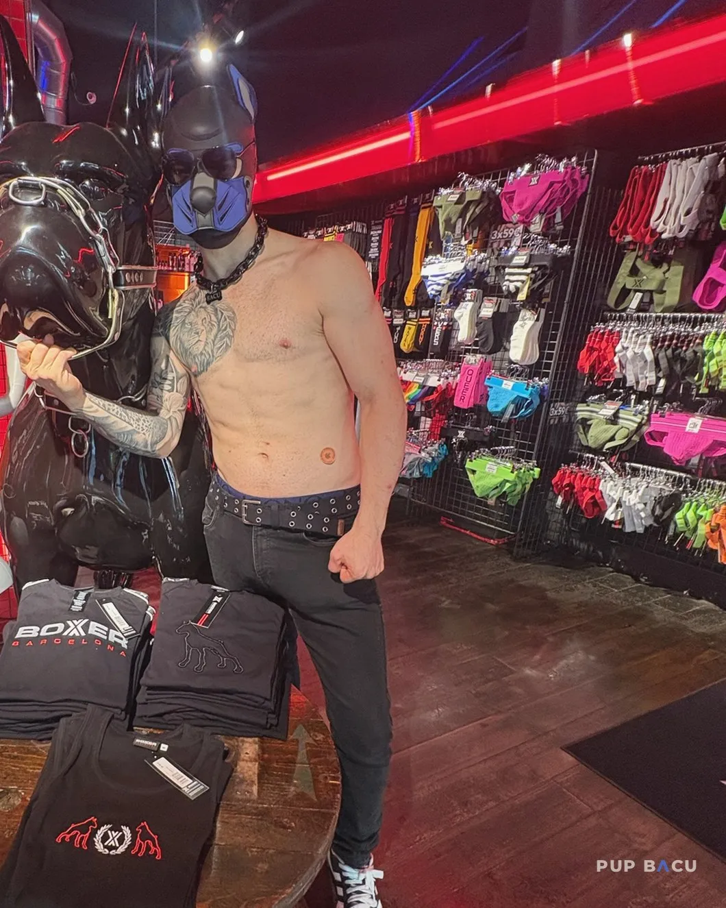 Pup Bacu holding a Boxer shirt in the shop