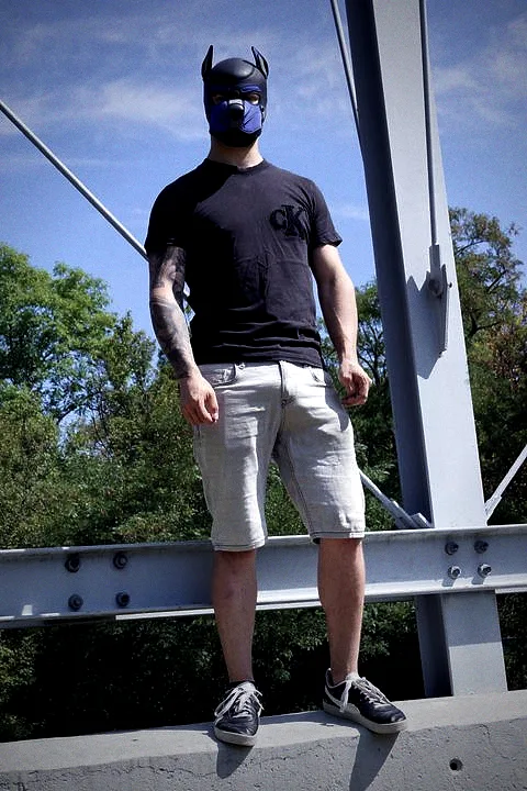 Pup Bacu on a steel tower, Donauturm in the background