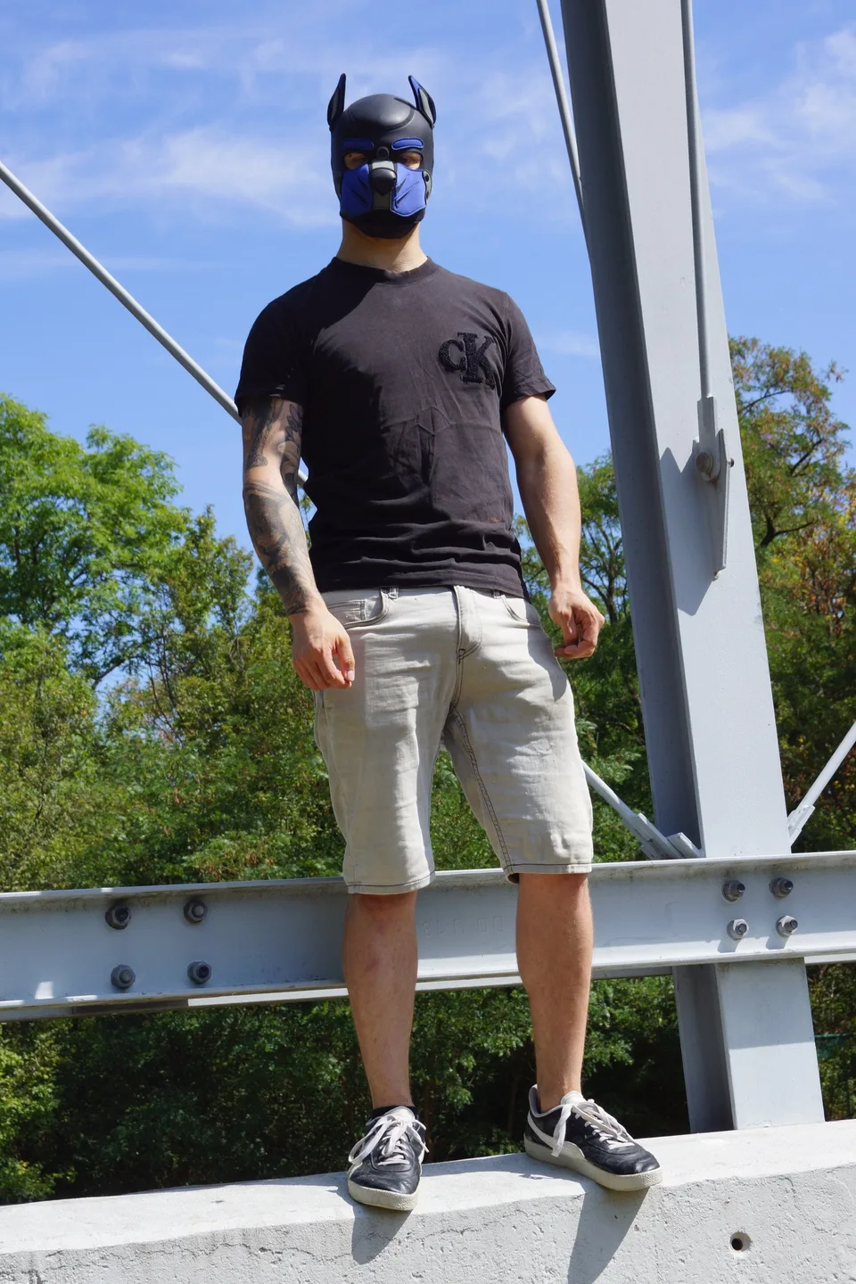 Pup Bacu on a steel tower, Donauturm in the background